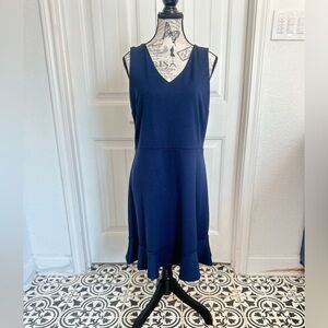 Amazing Loft Navy Fit and Flare Dress with Full Zip Back